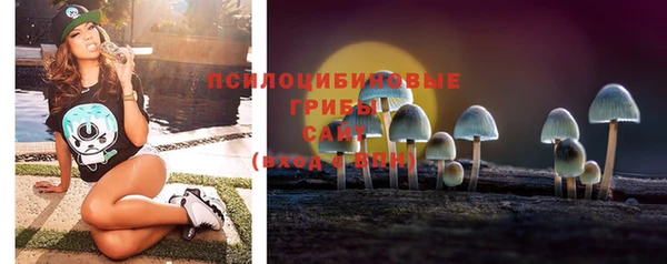 дмт Армянск