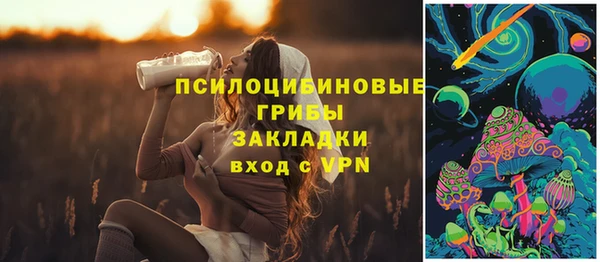 крисы Арсеньев